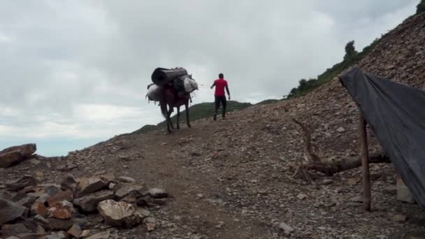 2023年12月25日 Uttarakhand India 喜马拉雅山远征 印度乌塔拉汉德落基地形上的人和骡子搬运供应品 庄严的喜马拉雅山冒险之旅 — 图库视频影像