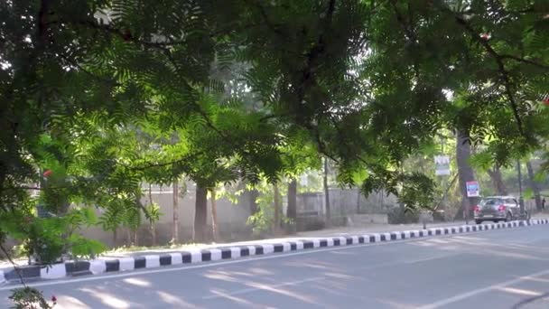 Aralık 2023 Dehradun Şehri Uttarakhand Hindistan Şehir Nabzı Rajpur Yolu — Stok video