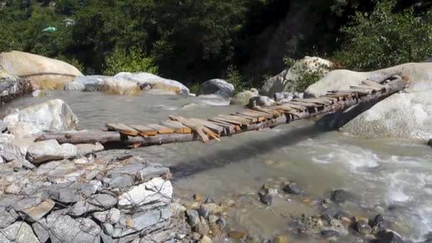 Väliaikainen Käsintehty Hirsisilta Metsäjoen Yli Himachal Pradeshissa — kuvapankkivideo