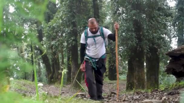 Setembro 2021 Uttarakhand India Hikers Com Mochilas Bengalas Uma Caminhada — Vídeo de Stock