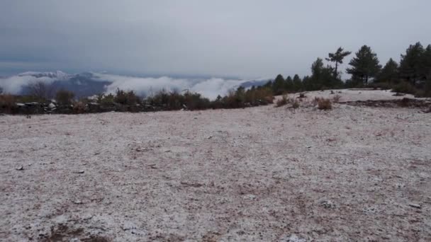 テヘリ ガーウォル インドのウッタルカンド州ガーウォールで最初の雪の毛布ヒマラヤの牧草地 雪に覆われた風景のなかでデワリと松の木が立ち ヒマラヤ山脈で穏やかな冬のシーンを作り出しています — ストック動画