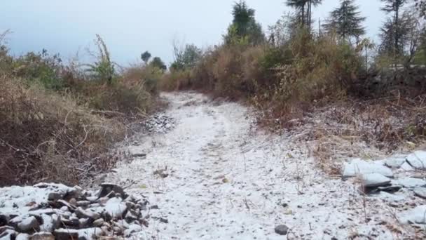 Tehri Garhwal 印度Uttarakhand Garhwal的第一个降雪毛毯喜马拉雅山草甸 露台和松树矗立在雪地中 在喜马拉雅山上营造出宁静的冬季景象 — 图库视频影像
