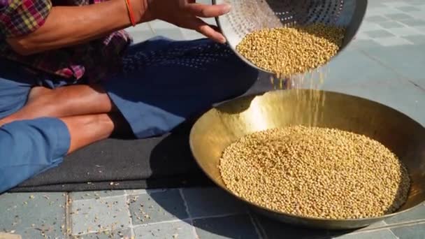 Limpeza Manual Grãos Trigo Usando Filtro Channi Uttarakhand Índia — Vídeo de Stock