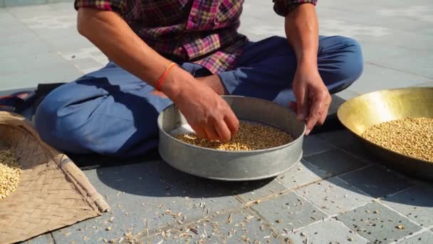 手动小麦谷物清洗 使用容器或Channi Uttarakhand — 图库视频影像