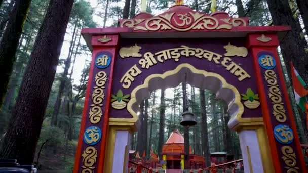 Şubat 2024 Uttarakhand Hindistan Tarkeshwar Mahadev Tapınağı Lansdowne Kutsal Şiva — Stok video