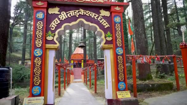 Şubat 2024 Uttarakhand Hindistan Tarkeshwar Mahadev Tapınağı Lansdowne Kutsal Şiva — Stok video