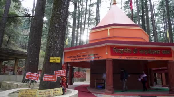 14Η Φεβρουαρίου 2024 Ουταραχάντ Ινδία Ναός Tarkeshwar Mahadev Ιερό Shiva — Αρχείο Βίντεο