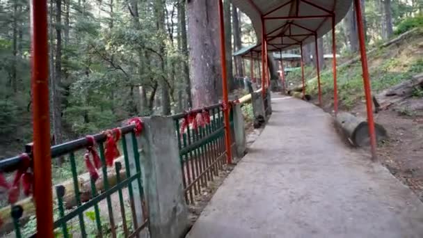 Skuggad Väg Till Tarkeshwar Mahadevtemplet Lansdownes Heliga Shiva Helgedom Uttarakhand — Stockvideo