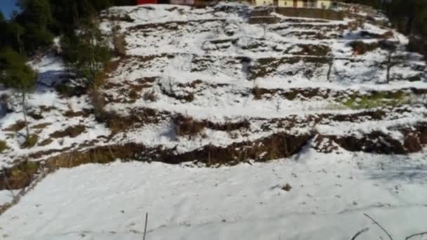 Floresta Neve Mussoorie Primeiro Cobertor Inverno Rainha Hills Uttarakhand Índia — Vídeo de Stock