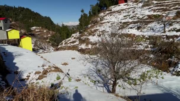 Sneeuwval Mussoorie Winter Eerste Deken Queen Hills Uttarakhand India — Stockvideo