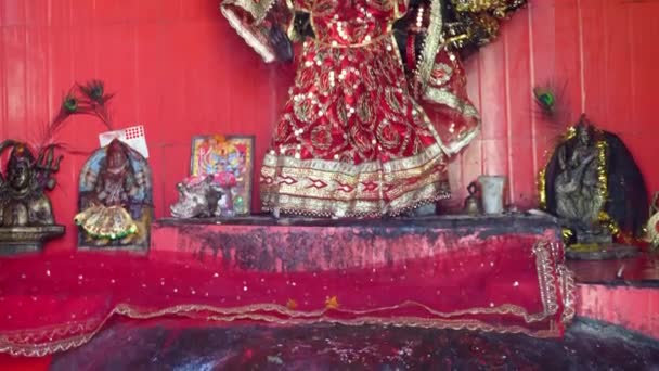 Şubat 2024 Uttarakhand Hindistan Madalyalı Tanrıça Kali Heykeli Jwalpa Devi — Stok video