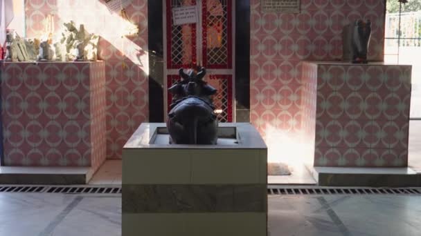 Febrero 2024 Uttarakhand India Esculturas Piedra Nandi Templo Ekeshwar Mahadev — Vídeos de Stock