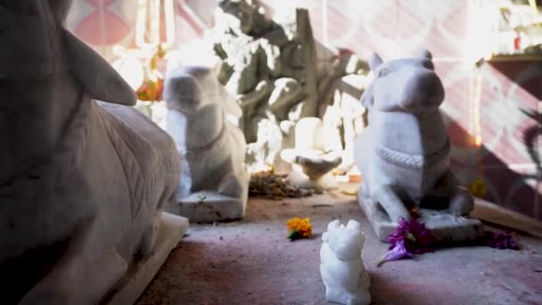 Febrero 2024 Uttarakhand India Antiguas Esculturas Artesanales Piedra Shiva Nandi — Vídeo de stock