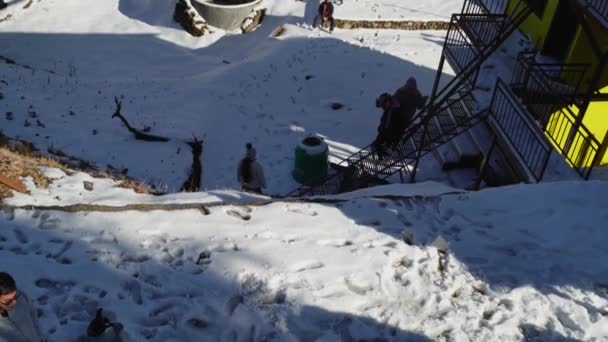 Februari 2024 Uttarakhand India Winter Fun Mussoorie Dhanaulti Toeristen Genieten — Stockvideo