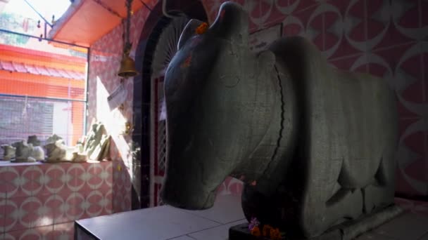 Févr 2024 Uttarakhand Inde Ancienne Sculpture Pierre Nandi Compagnon Promenade — Video