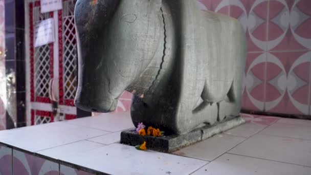 Feb 2024 Uttarakhand India Oude Handgemaakte Nandi Stenen Sculpturen Symbolische — Stockvideo