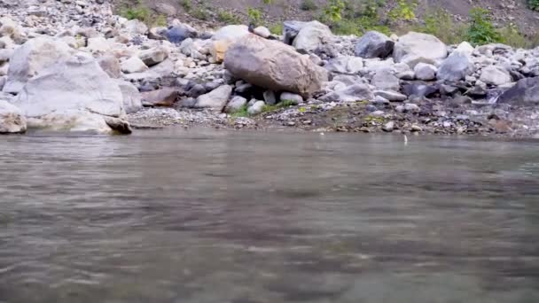 Salto Peixe Pequeno Rio Baldi Maldevta Dehradun Uttarakhand Índia — Vídeo de Stock
