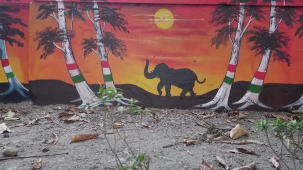 Fevereiro 2024 Dehradun City Uttarakhand Índia Street Art Graffiti Florescendo — Vídeo de Stock