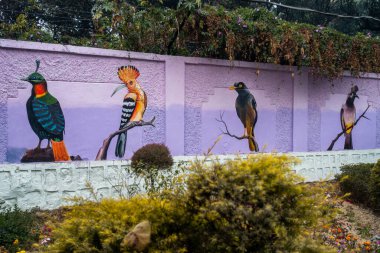 11 Ocak 2024, Uttarakhand Hindistan. Sanatsal Vahşi Yaşam Duvarları: Rajpur Yolu, Dehradun, Uttarakhand, Hindistan 'da Hayvanlar ve Kuşların Canlı Tasvirleri. Akıllı Şehir Geliştirme Girişimi