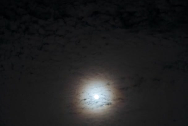 Березня 2024 Року Дехрадун Місто Уттаракханд Індія Гімалайський Повний Місяць — стокове відео