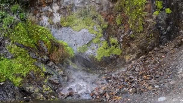 우타라칸드 Uttarakhand 히말라야 꼭대기에서 흐르는 폭포의 매혹적인 광경을 경험해 보세요 — 비디오