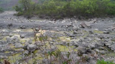 Hindistan 'ın Uttarakhand kentindeki Dehradun City kenti yakınlarında kurumuş Nun Nehri' nin yosun istilası görüntüleri. Çevresel bozulma. Kaya ve kayalarla dolu nehir yatağı.