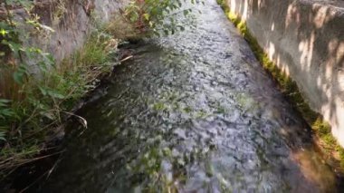 Hindistan 'ın Uttarakhand kentindeki Dehradun kenar mahallelerinden akan kırsal kanal, yerel nehirlerden elde edilen tarımsal sulama için kullanılır.