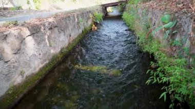 Hindistan 'ın Uttarakhand kentindeki Dehradun kenar mahallelerinden akan kırsal kanal, yerel nehirlerden elde edilen tarımsal sulama için kullanılır.