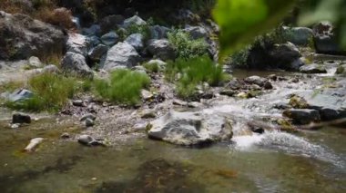 Uttarakhand, Hindistan 'ın Dehradun kenar mahallelerindeki tatlı su akıntısının görüntüleri. Shikhar Sonbahar Yolu. Orman manzarası. Doğal güzellik. Ormandan akan nehir. Açık hava macerası. Uttarakhand manzaraları.