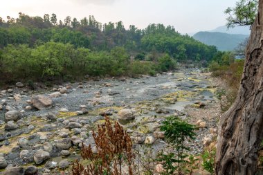 Hindistan 'ın Uttarakhand kentindeki Dehradun City kenti yakınlarında kurumuş Nun Nehri' nin yosun istilası görüntüleri. Çevresel bozulma. Kaya ve kayalarla dolu nehir yatağı.