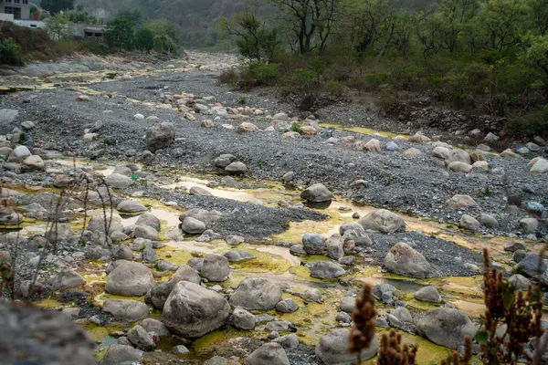 Stock image Footage of dried-up Nun River with algae infestation near Dehradun City outskirts, Uttarakhand, India. Environmental degradation. Riverbed with rocks and boulders.