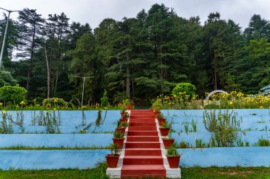 Hindistan 'ın Uttarakhand bölgesindeki doğal yeşilliklerle çevrili Deodar ormanının ortasında yürüyen merdivenleri olan güzel bir bahçe..