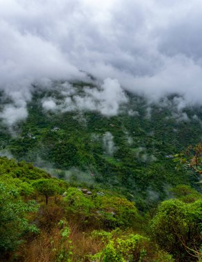 Uttarakhand, Hindistan 'da muson mevsiminde bulutlarla kaplı Almora vadilerinin ve dağların güzel manzarası.