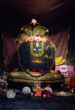 25 Temmuz 2024, Himachal Pradesh, Hindistan. Siyah taş Shiva Lingam altın süsler ve yılan tanrı Sheshnag ile süslenmiş, Bharm, Himachal Pradesh, Hindistan 'daki antik Chaurasi Tapınağı içinde.