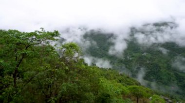 Uttarakhand, Hindistan 'da muson mevsiminde bulutlarla kaplı Almora vadilerinin ve dağların güzel manzarası.