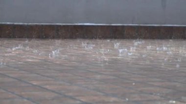 Uttarakhand, Dehradun 'daki bir Hint evinde muson yağmurları kiremitlere ve duvarlara yağıyor, yağmur mevsiminin güzelliğini ve özünü gözler önüne seriyor..
