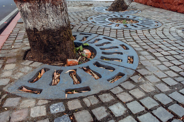 A roadside tree base featuring a round water-dripping tile system on the footpath in Dehradun City, India, designed to maintain pathways and nourish trees.