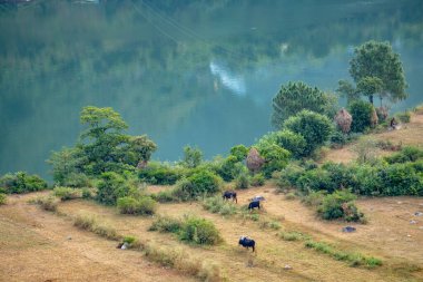 3 Kasım 2024 Uttarkashi Uttarakhand Hindistan. Dağ Manzaralı Bhagirathi Nehri 'ndeki Chinyalisaur Kasabası manzaralı Garhwal Himalayalar, Uttarakhand, Hindistan