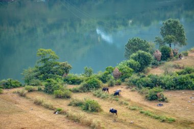 Nov. 3rd 2024 Uttarkashi Uttarakhand India. Village view at Chinyalisaur Town on Bhagirathi River with Mountain Views, Garhwal Himalayas, Uttarakhand, India clipart