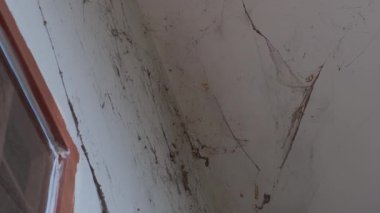 Uttarakhand, Hindistan 'da Dehradun City' de bir evin köşesinde örümcek ağıyla kaplı bir çatı. Zavallı sağlıksız uygulamalar..