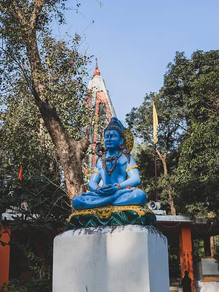 17 Şubat 2025 Dehradun Uttarakhand Hindistan. Mavi Lord Shiva heykeli katlanmış elleriyle fileto kumaş üzerinde meditasyon yapıyor ve boynundaki sheshnag, Dehradun, Uttarakhand, Hindistan 'da bir tapınak kubbesine karşı hazırlanıyor..