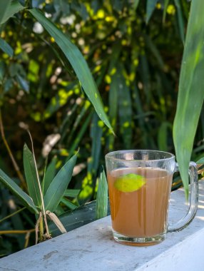 Bir bardak yeşil limon çayı ve bir dilim organik limon, yemyeşil ortamda. Taze ve sağlıklı bir vücut değişimi için mükemmel bir sabah zehirlenmesi..