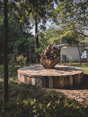 A large wood root stump used as a central garden decorative piece in a park in India, showcasing recycling nature in its raw form and raw design ideas. clipart