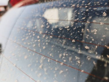 Yağmurdan sonra Hindistan 'da camlarda çamur lekeleri olan nadir bulunan bir araç..