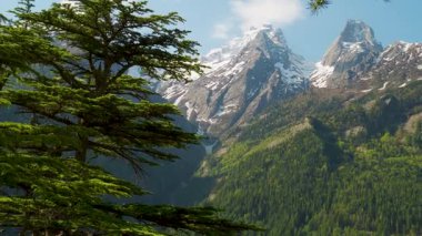 Harsil 'in Karlı Majestic Boynuzu, Harsil Vadisi, Uttarkashi' de hayvan boynuzlarını andıran ikiz zirveler, 4,800 m & 5,300 m 'ye yükseliyor. Uttarkashi. Hindistan