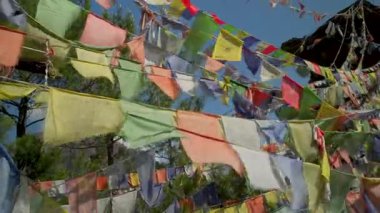 Harsil Vadisi 'ndeki manzaralı tepe, Uttarakhand, Tibet bayraklarıyla süslenmiş, doğa yürüyüşleri için ideal.
