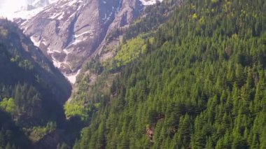 Harsil 'in Karlı Majestic Boynuzu, Harsil Vadisi, Uttarkashi' de hayvan boynuzlarını andıran ikiz zirveler, 4,800 m & 5,300 m 'ye yükseliyor. Uttarkashi. Hindistan