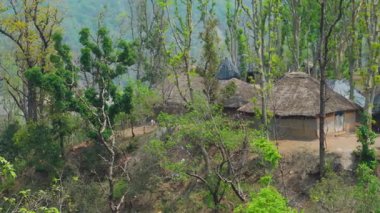Uttarakhand 'da yarı göçebe Van Gujjjars, çamurlu evlerde yaşıyor, bufalo çiftçiliği yapıyor. Hindistan