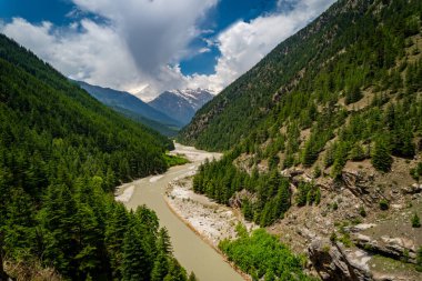 Ganj Nehri 'nin kutsal bir kolu olan Bhagirathi Nehri, Gangotri Buzulu' ndan Harsil Vadisi 'ne akar..