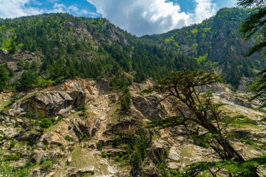 Gartang Gali, Gangotri bölgesi, Uttarakhand, Hindistan 'daki engebeli kayalık dağ Himalayalar' ın dramatik arazisini gözler önüne seriyor..